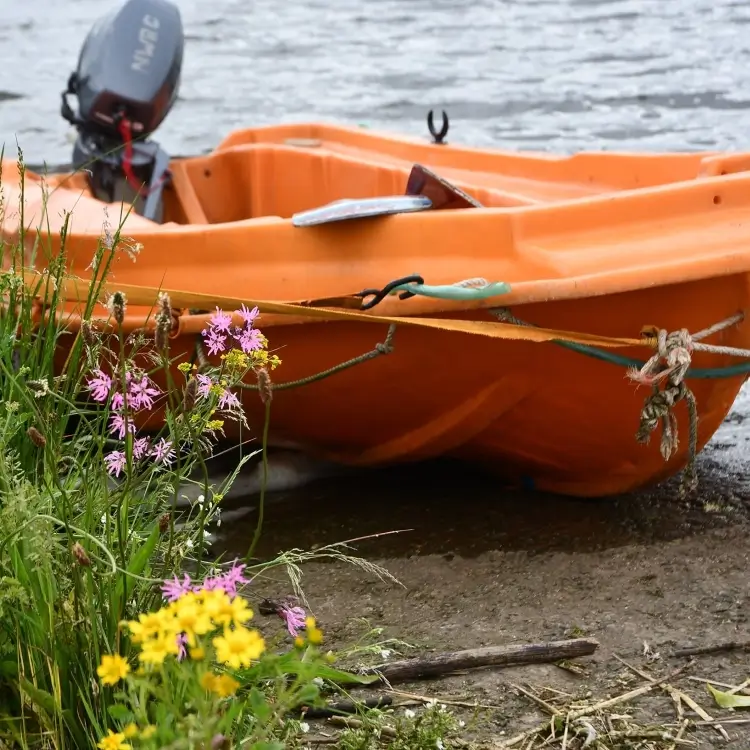 Rowing Ireland Old New Matic